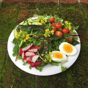 EPS_Australian Sunshine Salad