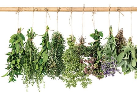 10 Surprising Uses for Herbs
